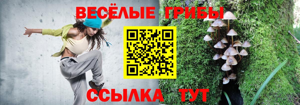 Псилоцибиновые грибы мухоморы Каменск-Шахтинский