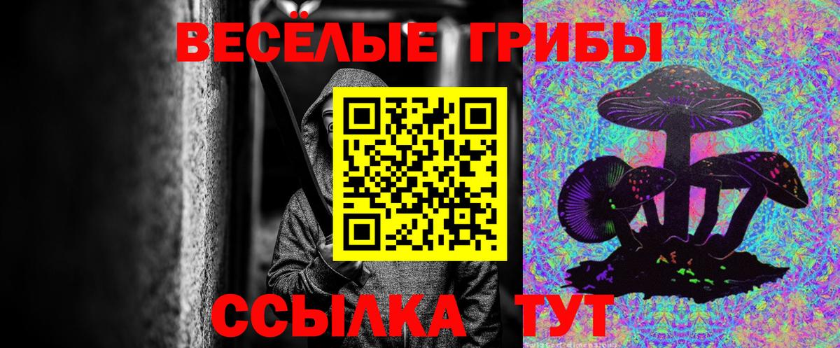Галлюциногенные грибы прущие грибы  Вход с VPN  Галлюциногенные грибы GOLDEN TEACHER  Каменск-Шахтинский 